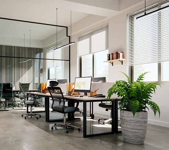Natural light - energizing the space